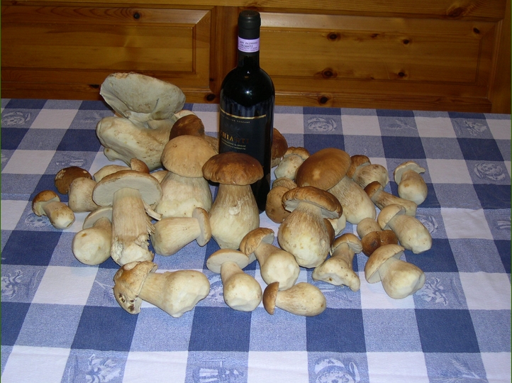 Giovanni : qualche 'cucciolata' dal 2000 ad oggi...