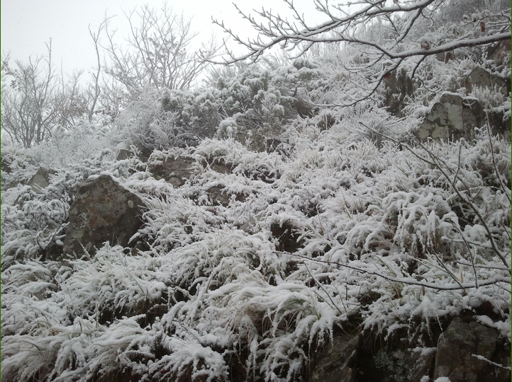 Piero, la neve, i funghi...