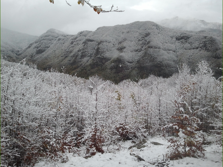 Piero, la neve, i funghi...