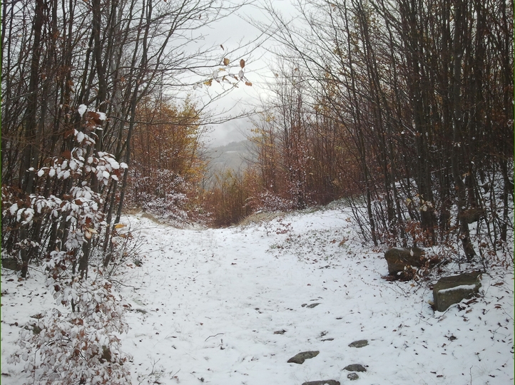 Piero, la neve, i funghi...