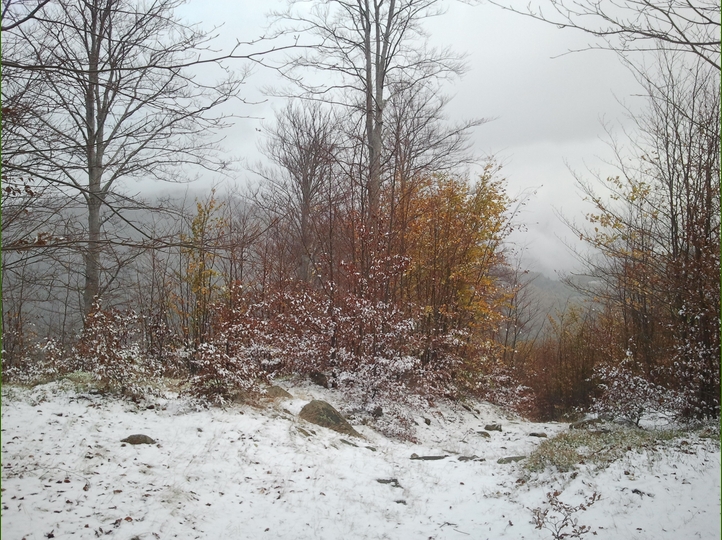 Piero, la neve, i funghi...