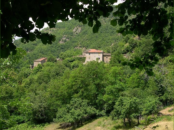 Chiapporato