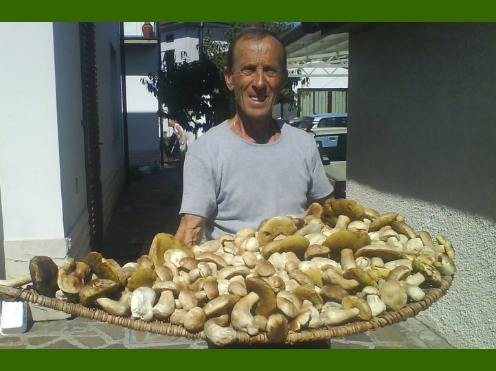 Amedeo : che 'cucciolata' !